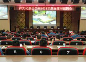 瀘天化黨委召開支部書記例會部署“大學(xué)習(xí) 大調(diào)研 大落實”活動