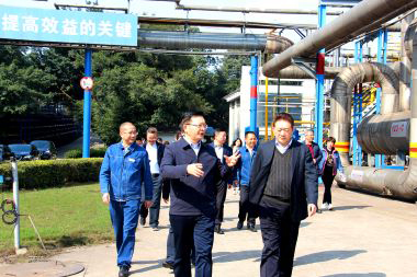 瀘州市委副書記市長楊林興率隊到瀘天化調(diào)研