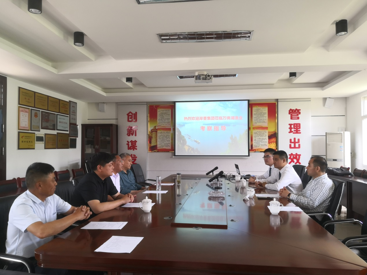 岸香國際控股集團蒞臨萬佛湖漁業(yè)考察指導(dǎo)