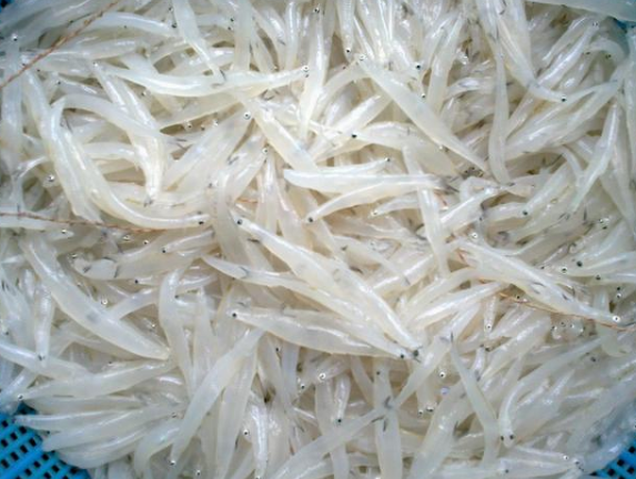 1588209855860569.png image.png