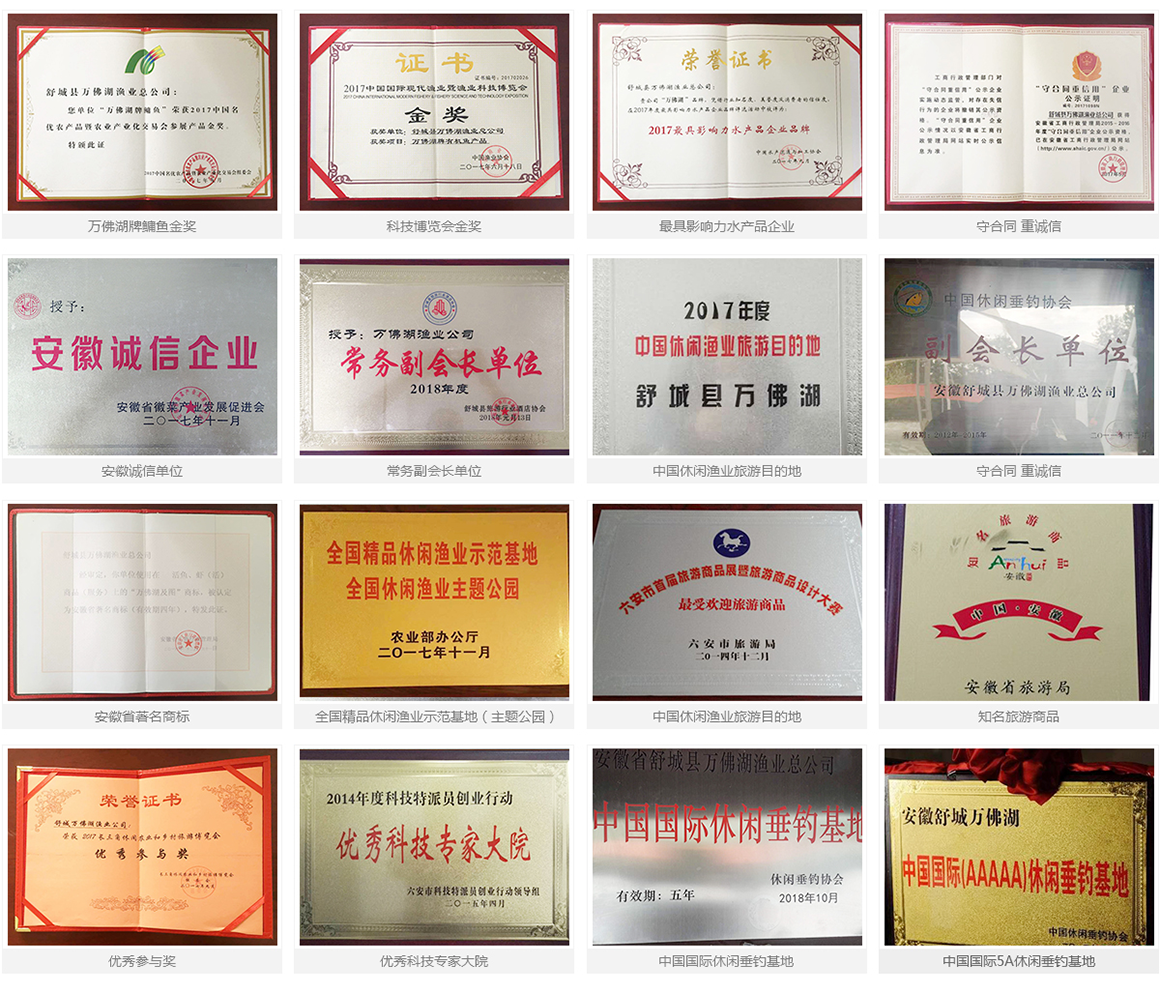 榮譽(yù)單位 榮譽(yù)單位