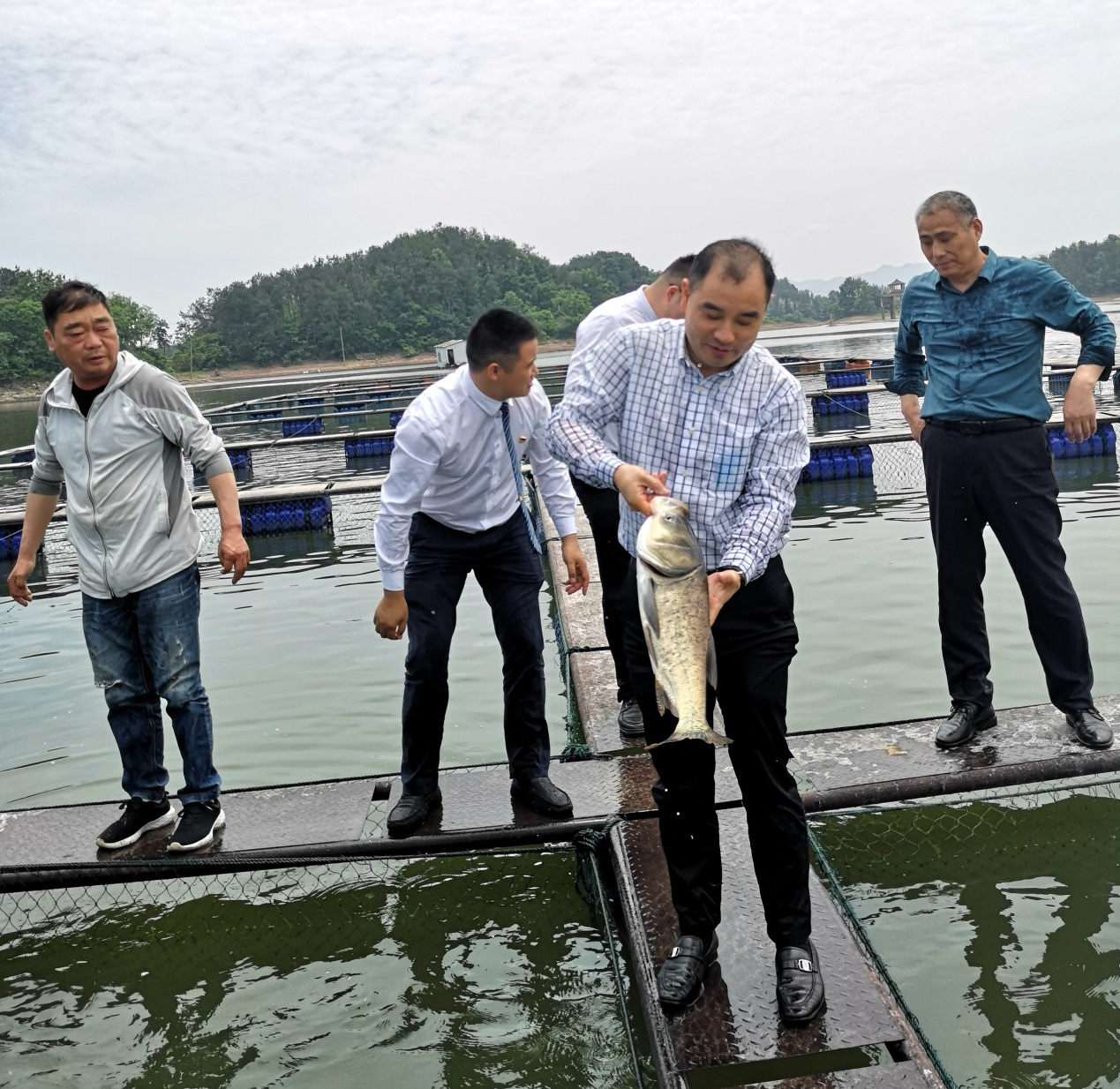 岸香國(guó)際控股集團(tuán)蒞臨萬佛湖漁業(yè)考察指導(dǎo) 岸香國(guó)際控股集團(tuán)蒞臨萬佛湖漁業(yè)考察指導(dǎo)