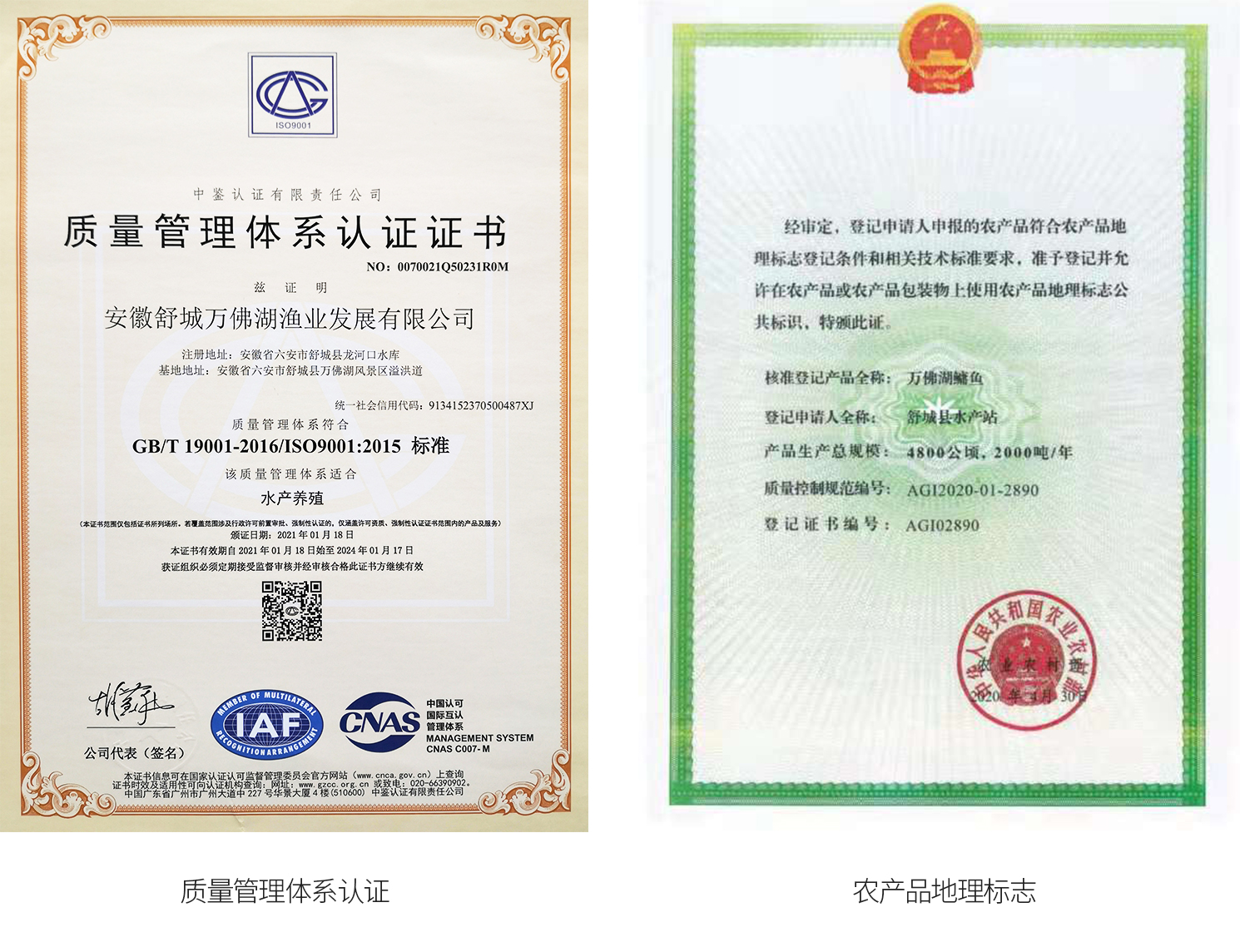 榮譽(yù)單位 榮譽(yù)單位