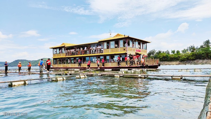 岸香集團優(yōu)秀員工來萬佛湖有機魚養(yǎng)殖基地游學團建活動
