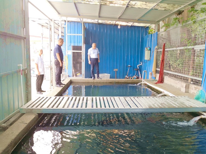 公司開展2022年度萬佛湖有機魚營銷調(diào)研