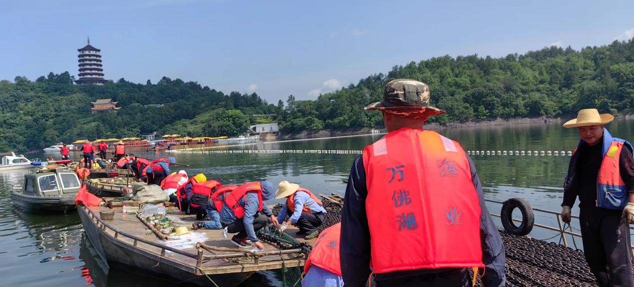 保水凈水—萬(wàn)佛湖漁業(yè)公司更換大水面三處攔魚設(shè)施