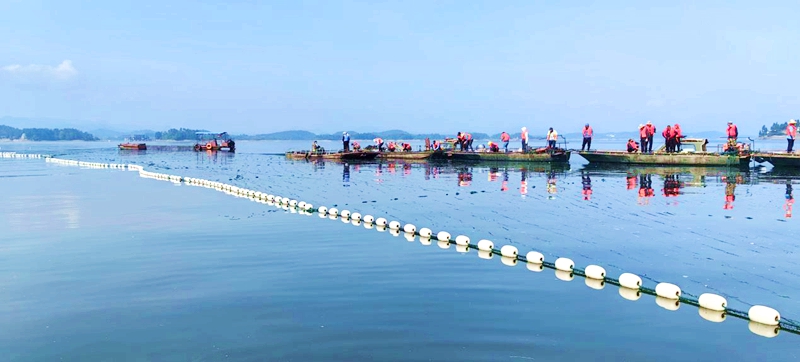 保水凈水—萬(wàn)佛湖漁業(yè)公司更換大水面三處攔魚設(shè)施