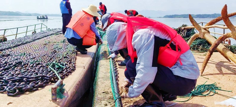 保水凈水—萬(wàn)佛湖漁業(yè)公司更換大水面三處攔魚設(shè)施