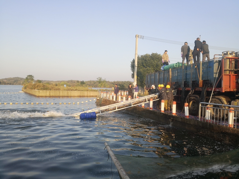 2024年度魚(yú)種收購(gòu)信息發(fā)布 2024年度魚(yú)種收購(gòu)信息發(fā)布